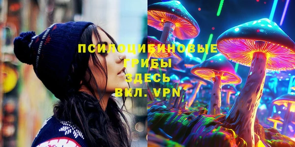 apvp Горняк