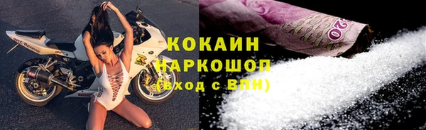 apvp Горняк