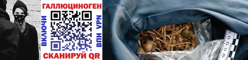Галлюциногенные грибы мицелий  Шебекино 