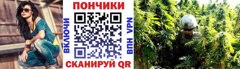 Бошки Шишки Ganja  Шебекино 